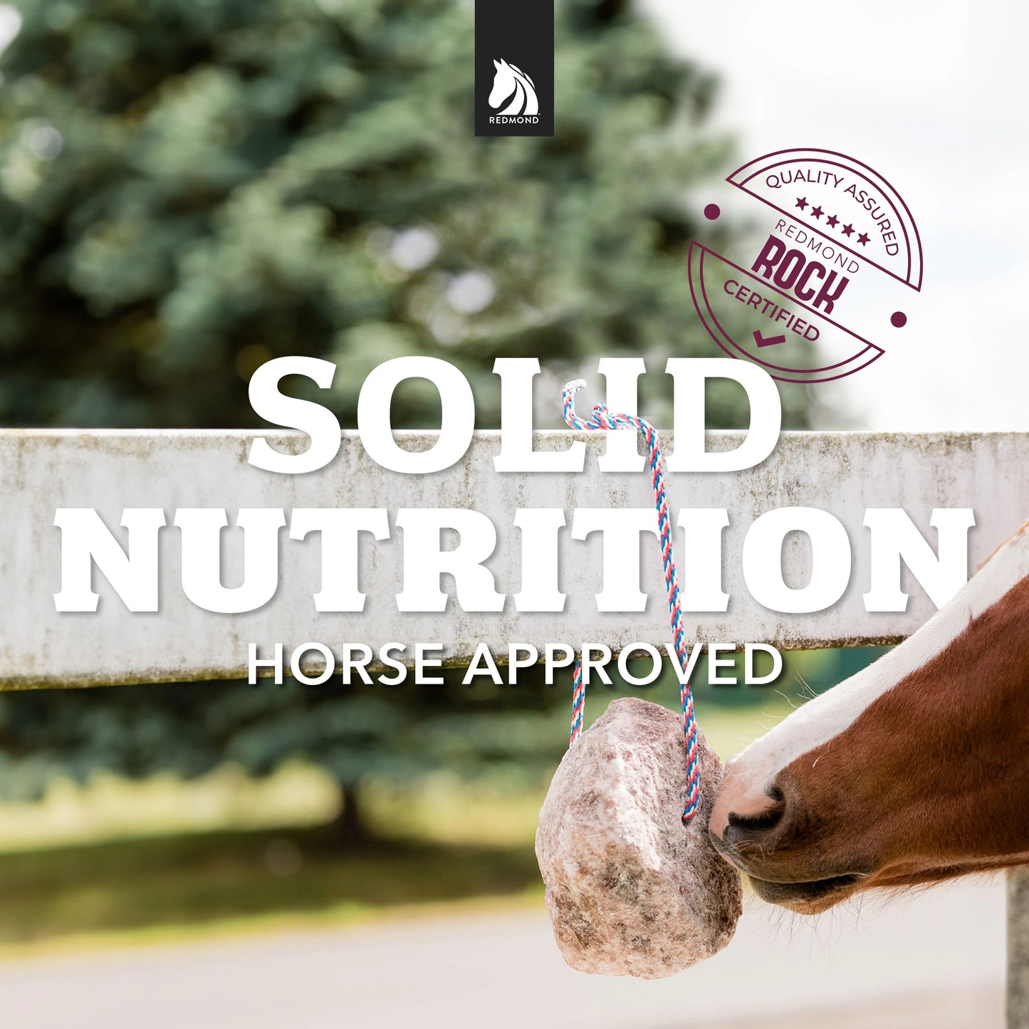 Redmond Rock On A Rope Natural Horse Salt Lick | Mineral Rock for Hydration & Balance | 3 lb.
