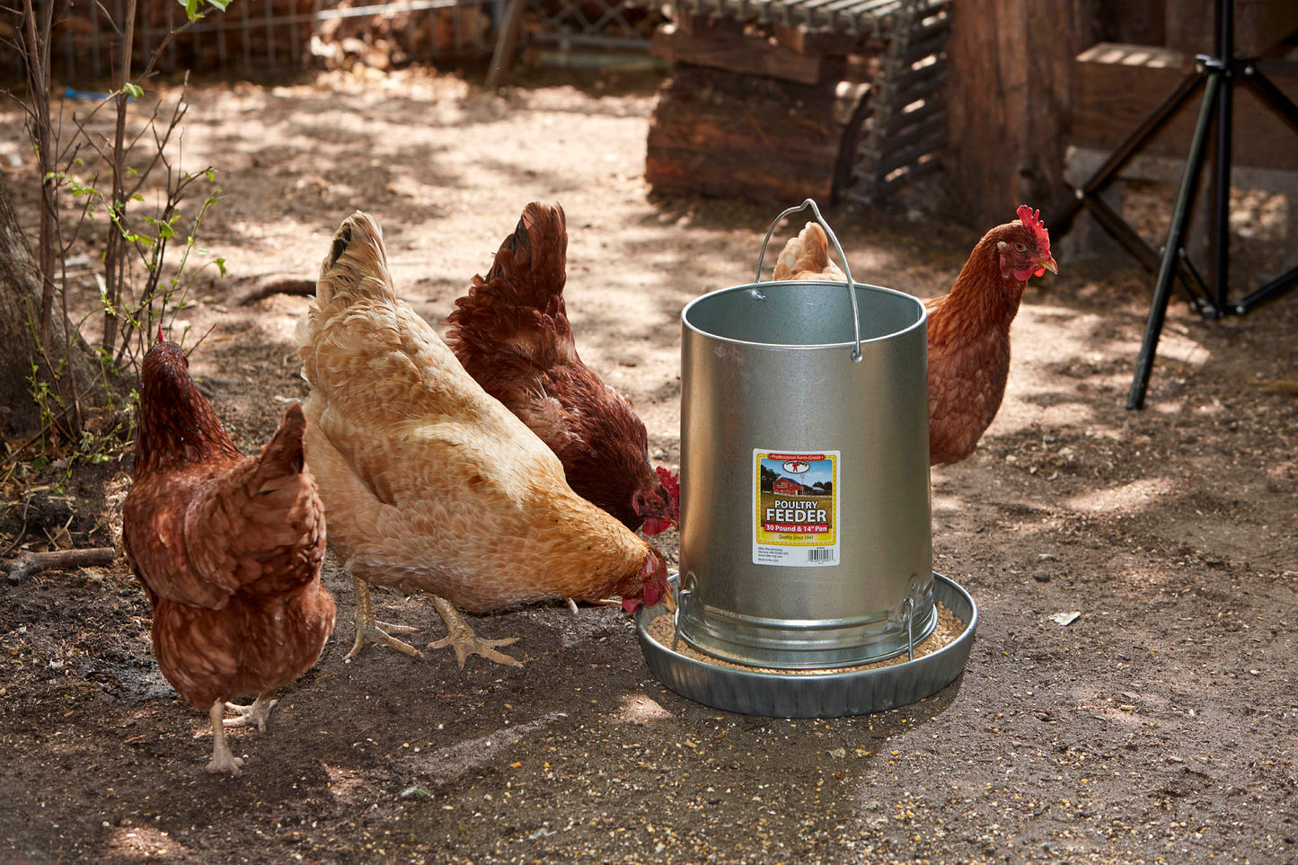 Little Giant Hanging Metal Chicken Feeder | Galvanized Steel Feeder