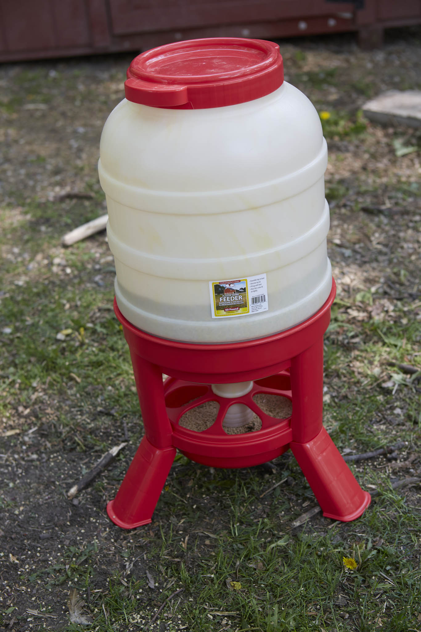 Little Giant Plastic Dome Poultry Feeder | Top-Fill Chicken & Duck Feeder