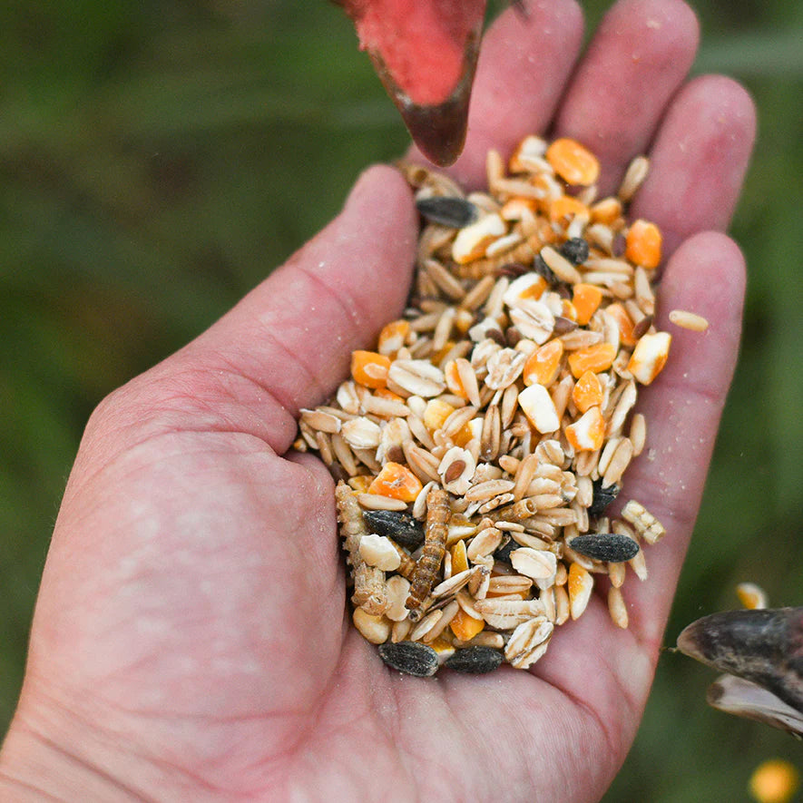 Happy Hen Party Time Mix | Worm & Oat Treat for Chickens | 2 lb