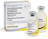 Bovi-Shield Gold One Shot | Cattle Vaccine for IBR, BVD, PI3, BRSV & Mannheimia