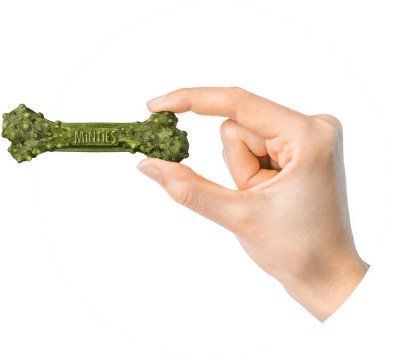 Minties Dental Treats for Dogs – Medium, 20 Treats (16 oz)