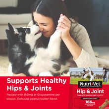Nutri-Vet Hip & Joint Biscuits for Dogs 1 lb. (16 oz) | 166 mg Glucosamine, Peanut Butter