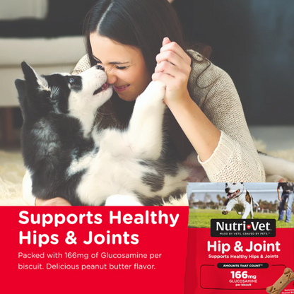 Nutri-Vet Hip & Joint Biscuits for Dogs 1 lb. (16 oz) | 166 mg Glucosamine, Peanut Butter