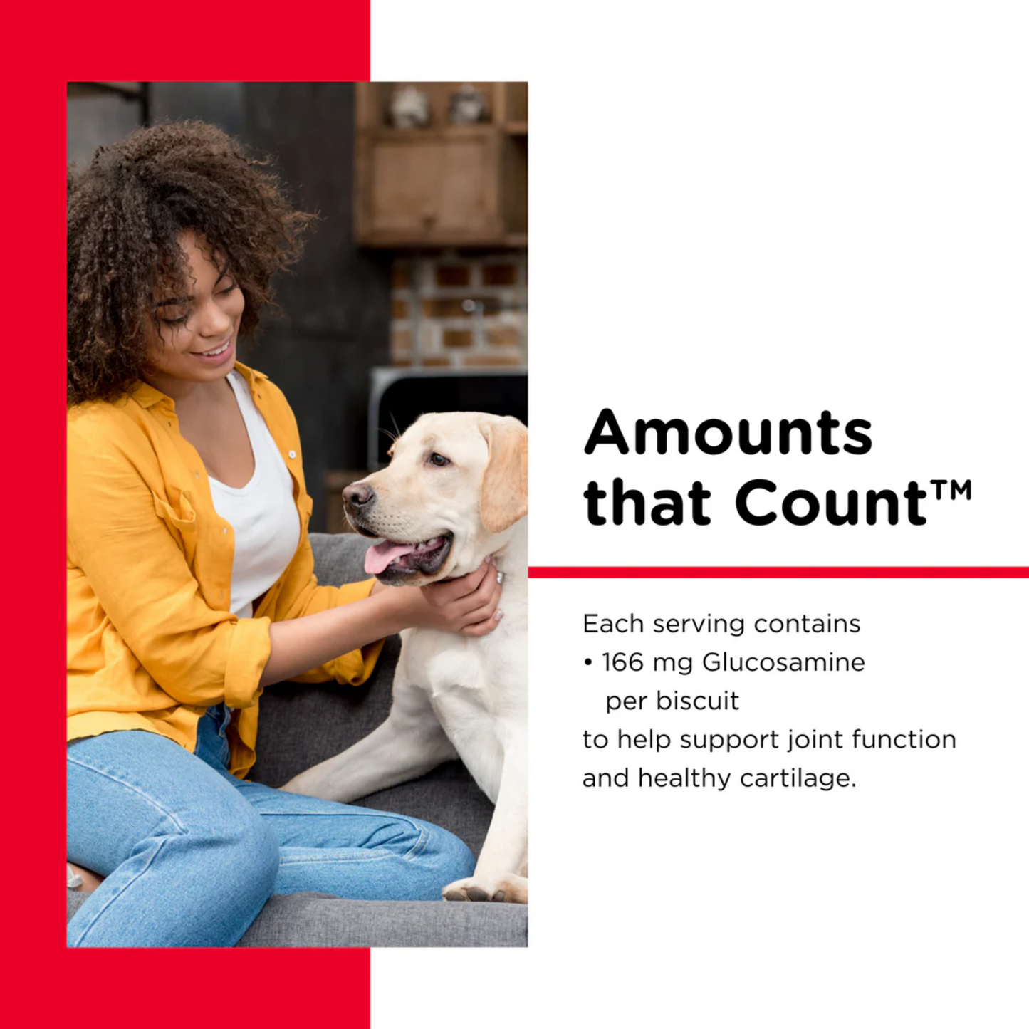 Nutri-Vet Hip & Joint Biscuits for Dogs 1 lb. (16 oz) | 166 mg Glucosamine, Peanut Butter