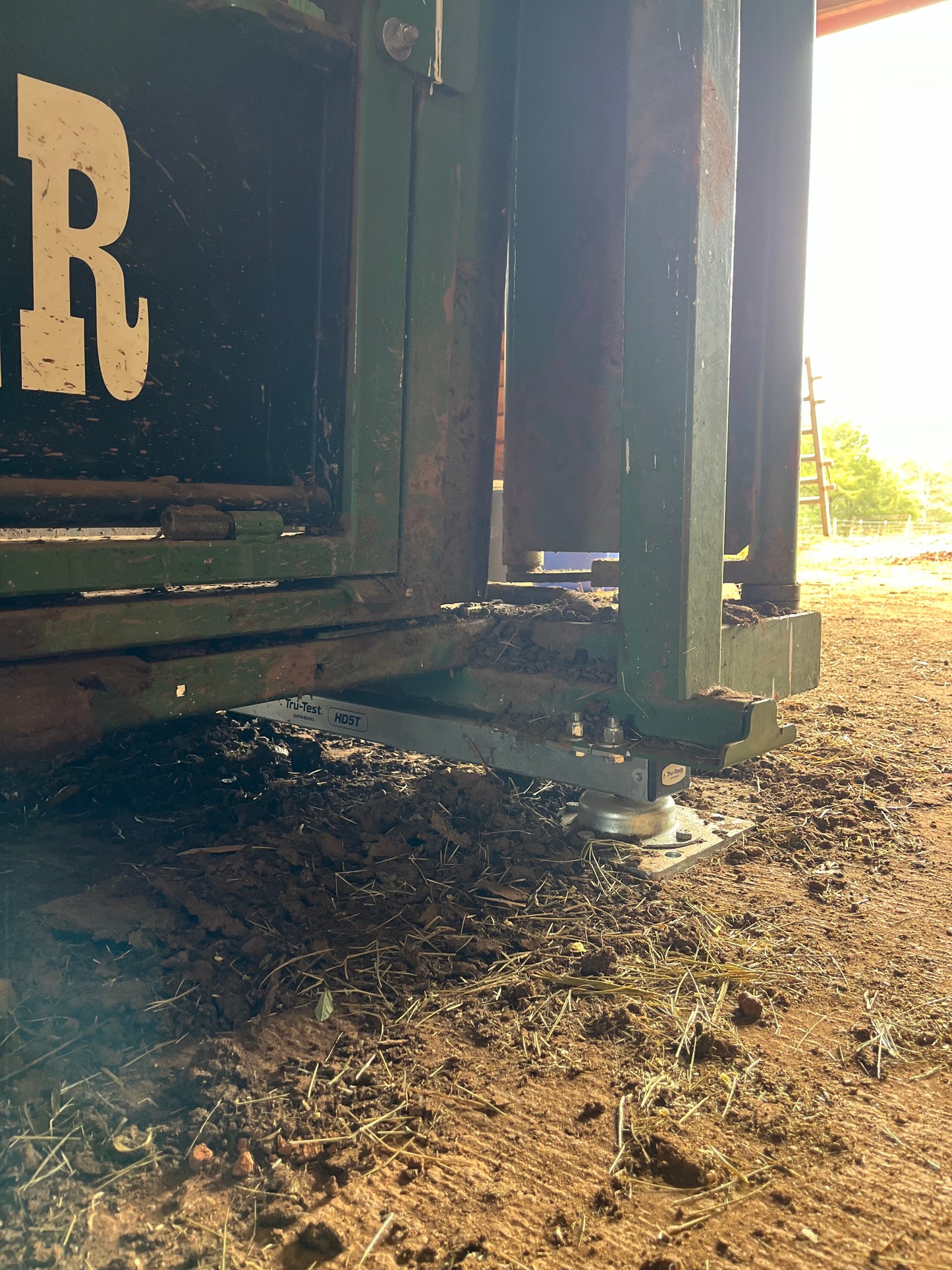 Tru-Test HD5T Load Bars + S3 Indicator | Cattle Chute Scale System