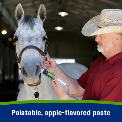 Farnam Apple Elite Apple-Flavored Electrolytes Paste for Horses – 60cc