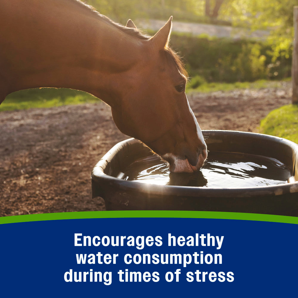 Farnam Apple Elite Apple-Flavored Electrolytes Paste for Horses – 60cc