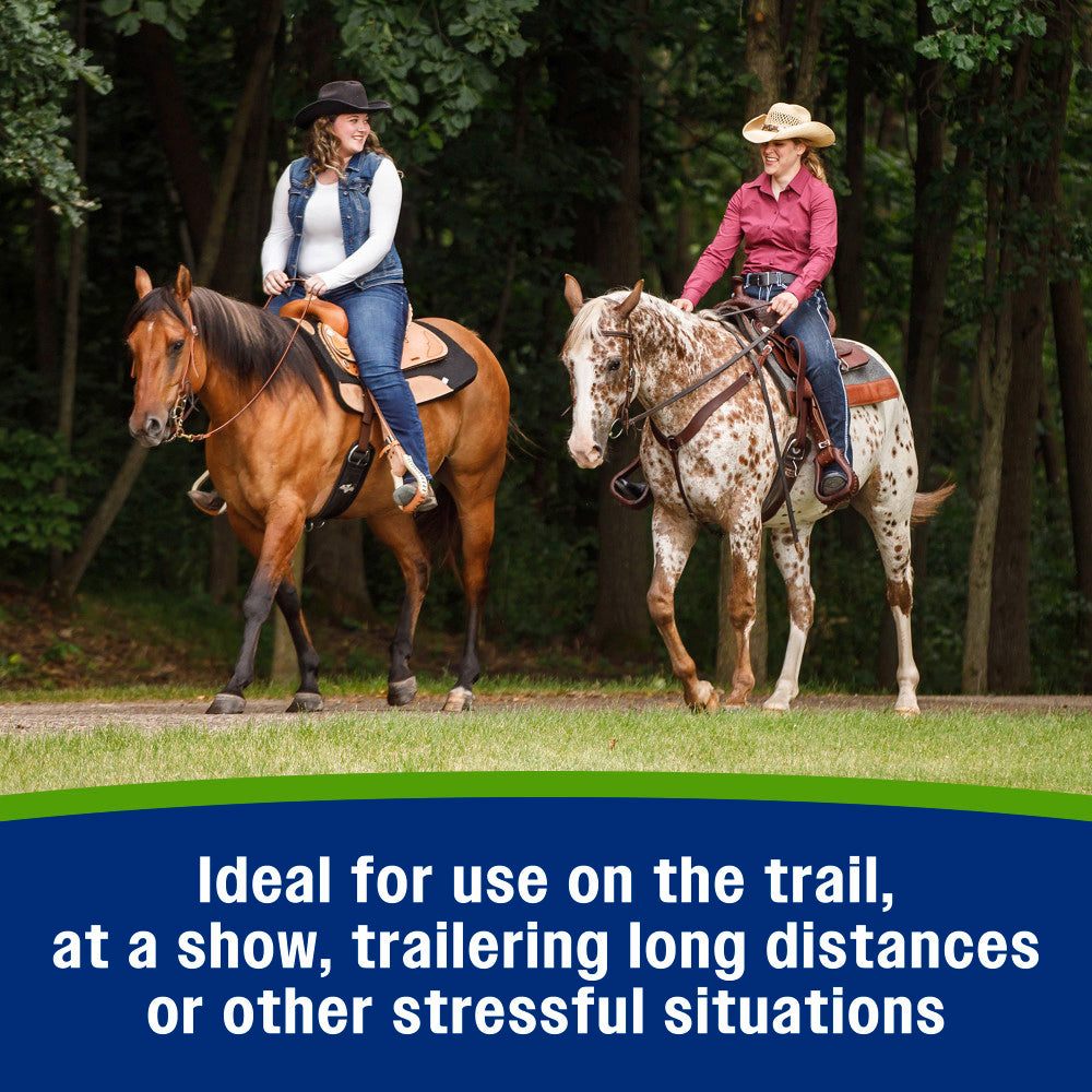 Farnam Apple Elite Apple-Flavored Electrolytes Paste for Horses – 60cc