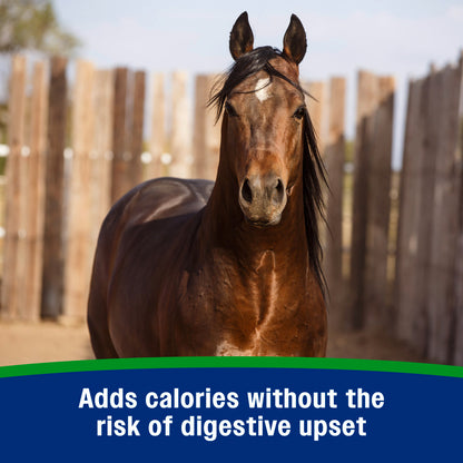 Farnam Weight Builder High-Fat Weight Support Supplement for Horses – 7.5 lb