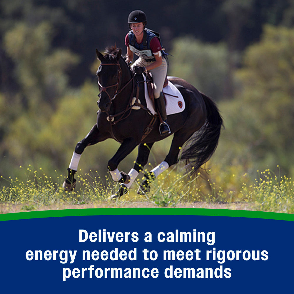 Farnam Weight Builder High-Fat Weight Support Supplement for Horses – 7.5 lb