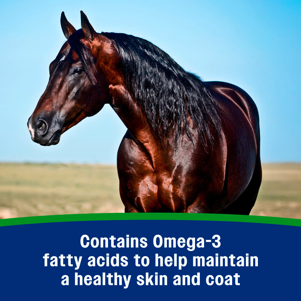 Farnam Weight Builder High-Fat Weight Support Supplement for Horses – 7.5 lb