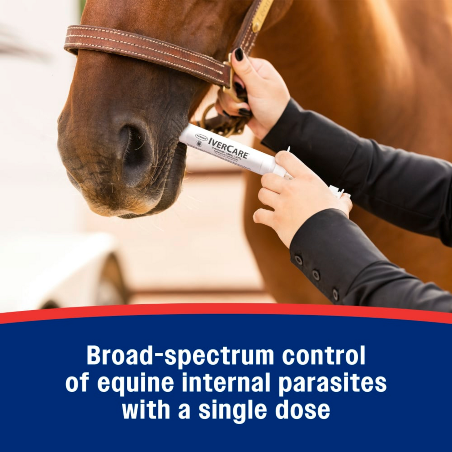 IverCare Ivermectin Paste 1.87% Apple Flavor Horse Dewormer 1250 lb Dose