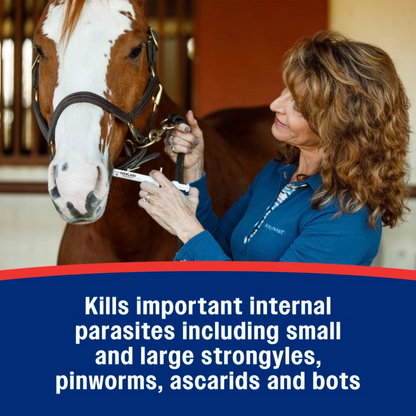 IverCare Ivermectin Paste 1.87% Apple Flavor Horse Dewormer 1250 lb Dose