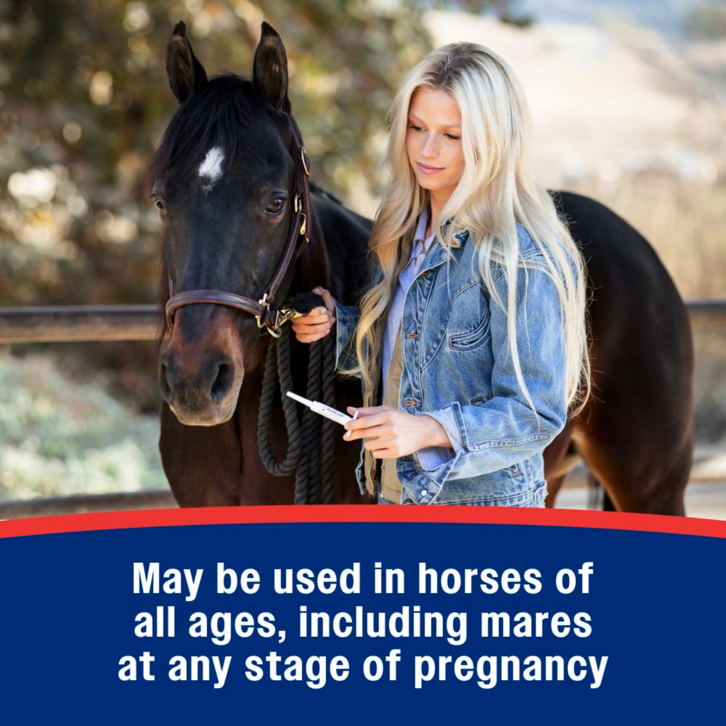 IverCare Ivermectin Paste 1.87% Apple Flavor Horse Dewormer 1250 lb Dose