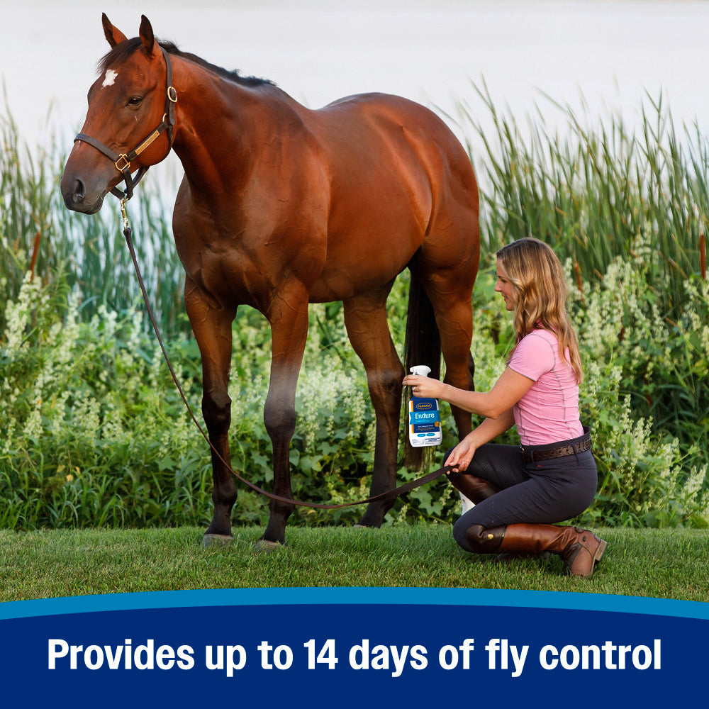 Farnam Endure Fly Spray – Sweat-Resistant Horse Fly & Insect Repellent