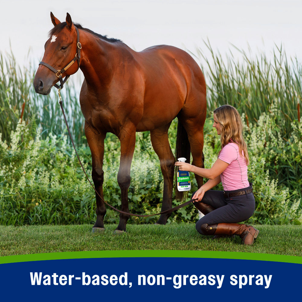 Farnam Equisect Horse Fly Repellent – Naturally Derived Protection