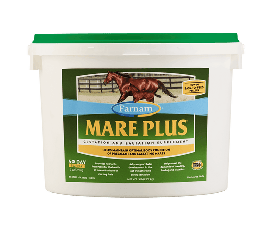 Farnam Mare Plus Gestation & Lactation Supplement for Horses, 5 lb Pellets