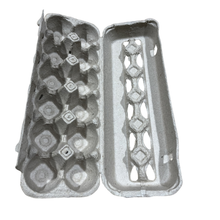 Paper Egg Carton | Holds 12 Eggs, Recyclable with Locking Tabs