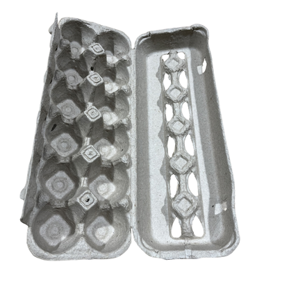 Paper Egg Carton | Holds 12 Eggs, Recyclable with Locking Tabs