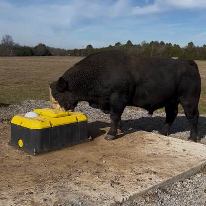 Tru Test WaterWell Energy Free Ball Cattle Waterer | Freeze Resistant & Jobe Valve