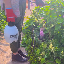 Chapin 1-Gallon Home & Garden Sprayer | For Fertilizer, Weed & Pest Control | Made in USA