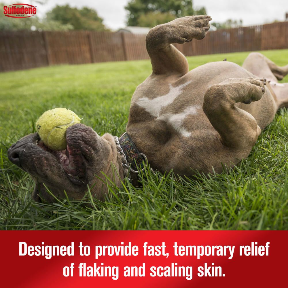 Sulfodene Medicated Dog Shampoo & Conditioner | Relieves Itching & Flaking | 12 oz