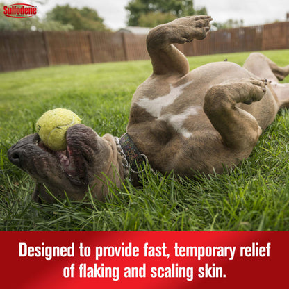 Sulfodene Medicated Dog Shampoo & Conditioner | Relieves Itching & Flaking | 12 oz