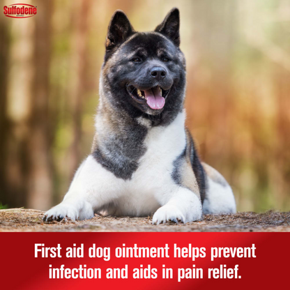 Sulfodene 3-Way Ointment for Dogs | First Aid, Hot Spot & Wound Care, 2 oz.
