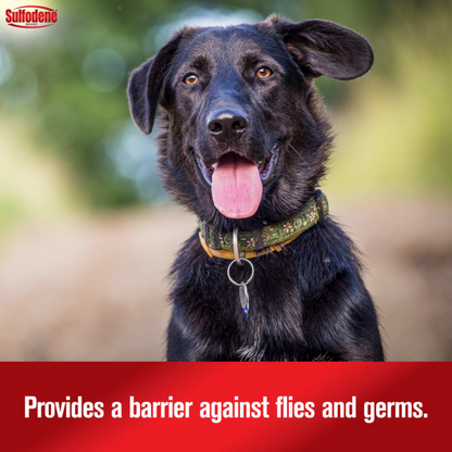 Sulfodene 3-Way Ointment for Dogs | First Aid, Hot Spot & Wound Care, 2 oz.