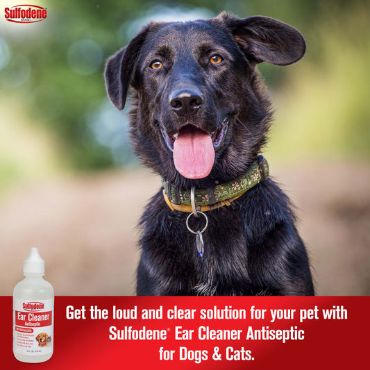 Sulfodene Ear Cleaner for Dogs & Cats | Antiseptic Formula with Aloe Vera | 4 oz.