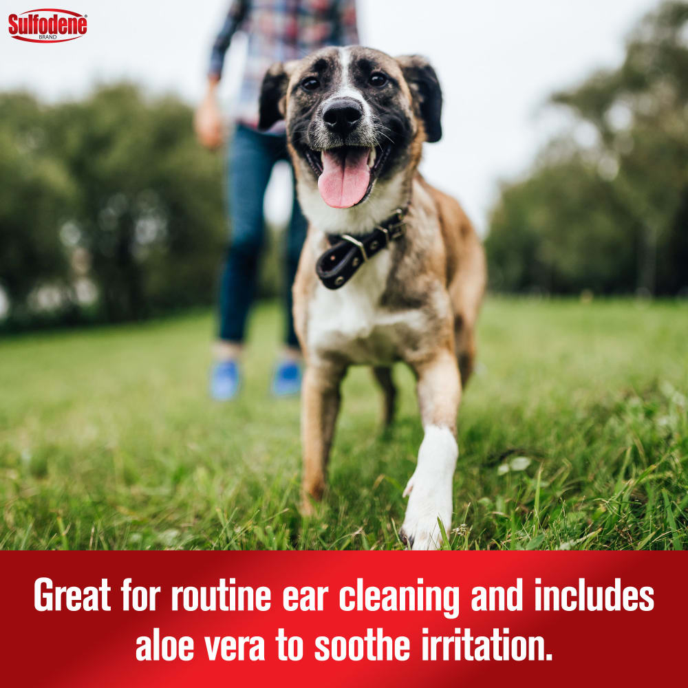 Sulfodene Ear Cleaner for Dogs & Cats | Antiseptic Formula with Aloe Vera | 4 oz.