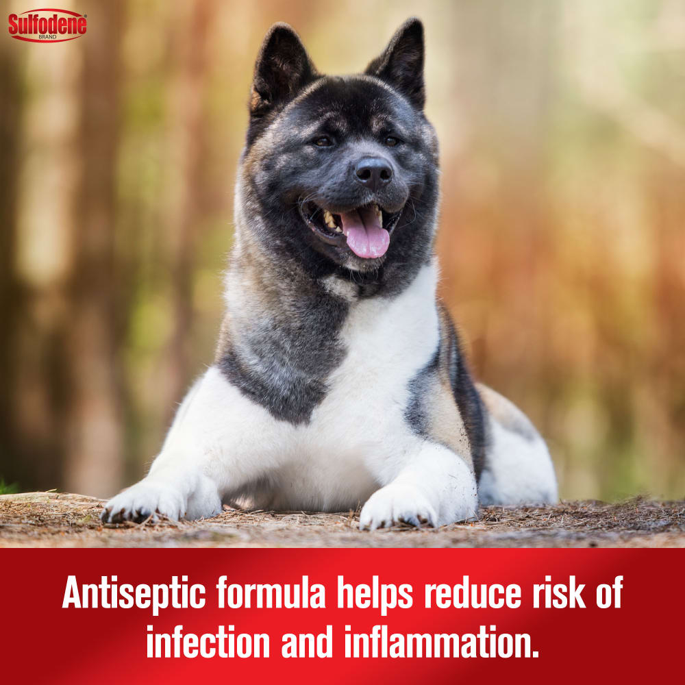 Sulfodene Ear Cleaner for Dogs & Cats | Antiseptic Formula with Aloe Vera | 4 oz.