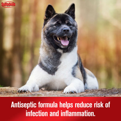 Sulfodene Ear Cleaner for Dogs & Cats | Antiseptic Formula with Aloe Vera | 4 oz.