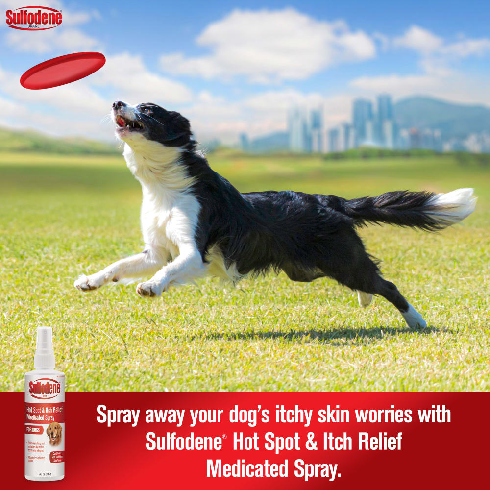 Sulfodene Hot Spot & Itch Relief Medicated Spray for Dogs | Soothes Irritated Skin | 8 oz