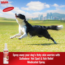 Sulfodene Hot Spot & Itch Relief Medicated Spray for Dogs | Soothes Irritated Skin | 8 oz