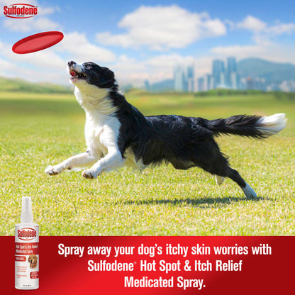 Sulfodene Hot Spot & Itch Relief Medicated Spray for Dogs | Soothes Irritated Skin | 8 oz