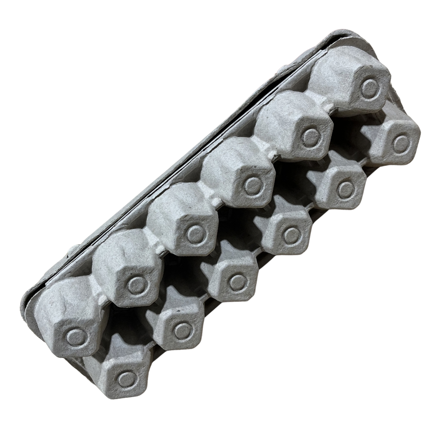 Paper Egg Carton | Holds 12 Eggs, Recyclable with Locking Tabs