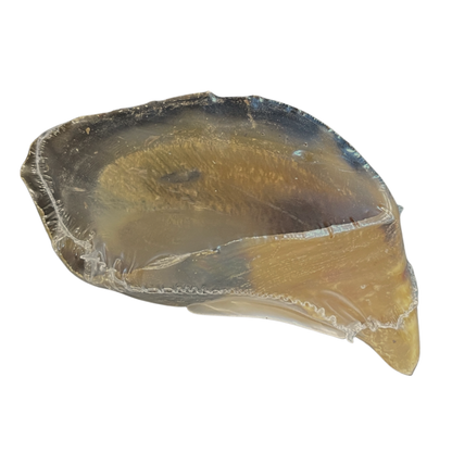 Jones Beef Hooves Natural Dog Chew | USA Made, Single Ingredient