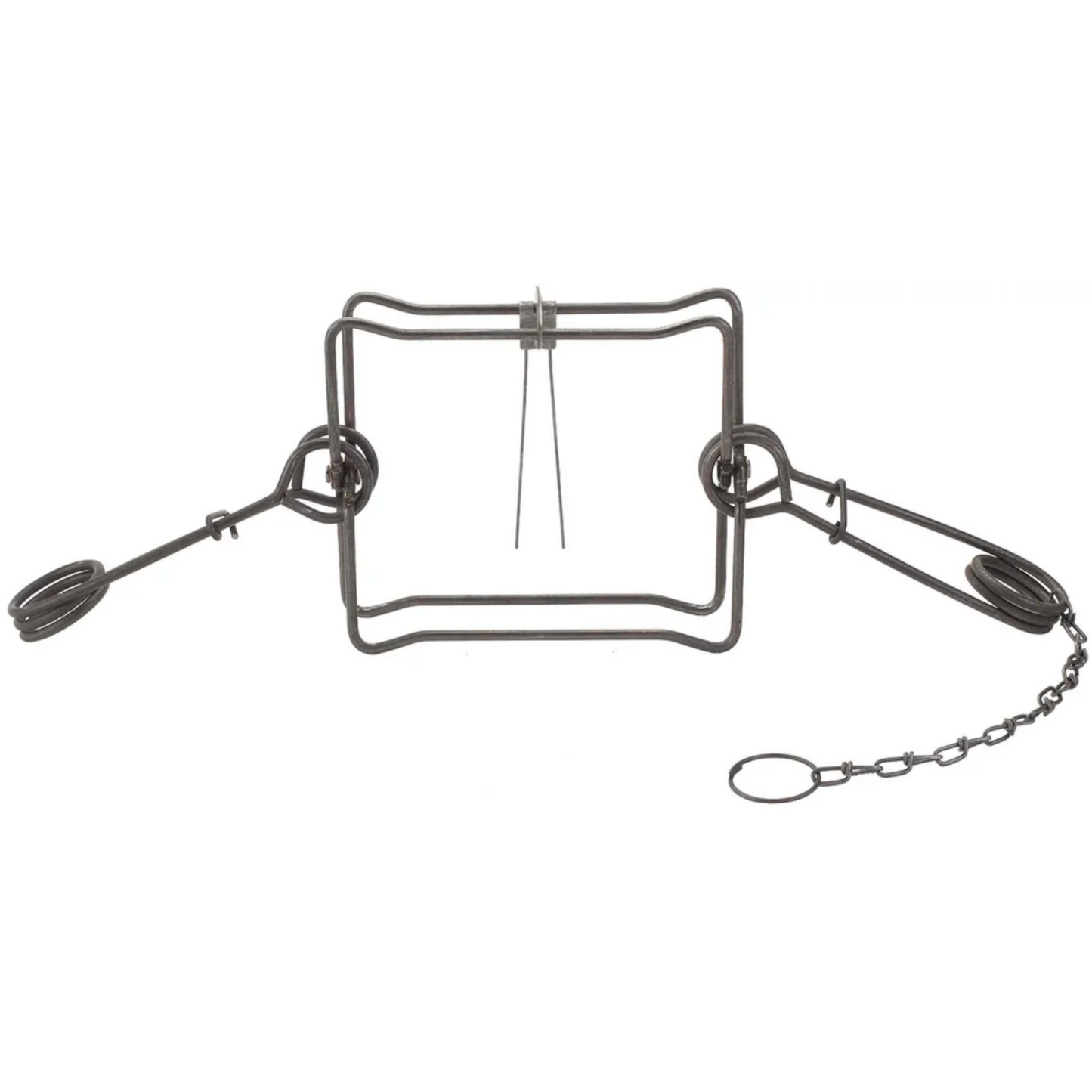 Duke #330 Body Gripping Trap | 10" Jaw Spread for Beaver, Bobcat, Otter, & Coyote