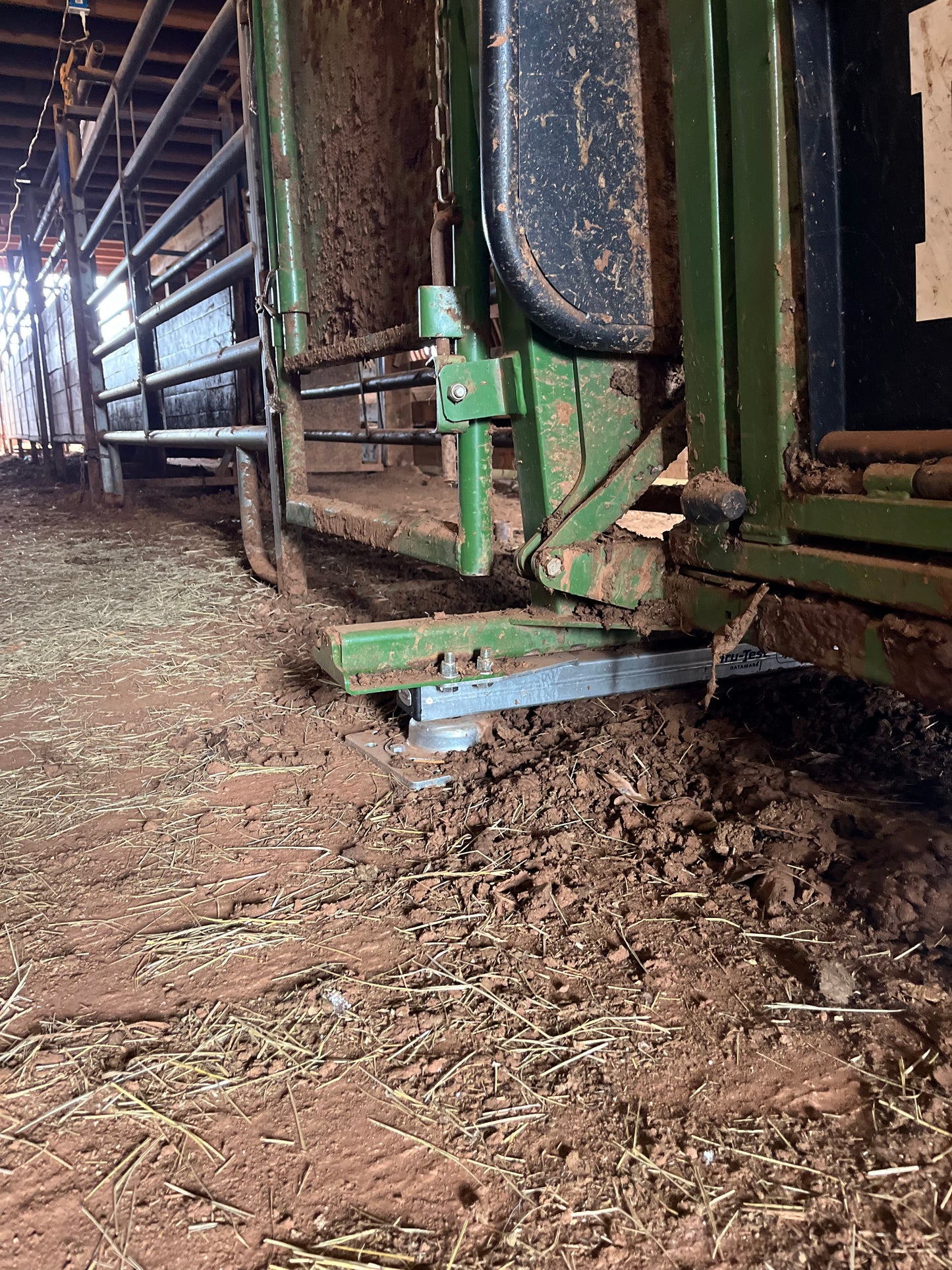 Tru-Test HD5T Load Bars + S3 Indicator | Cattle Chute Scale System