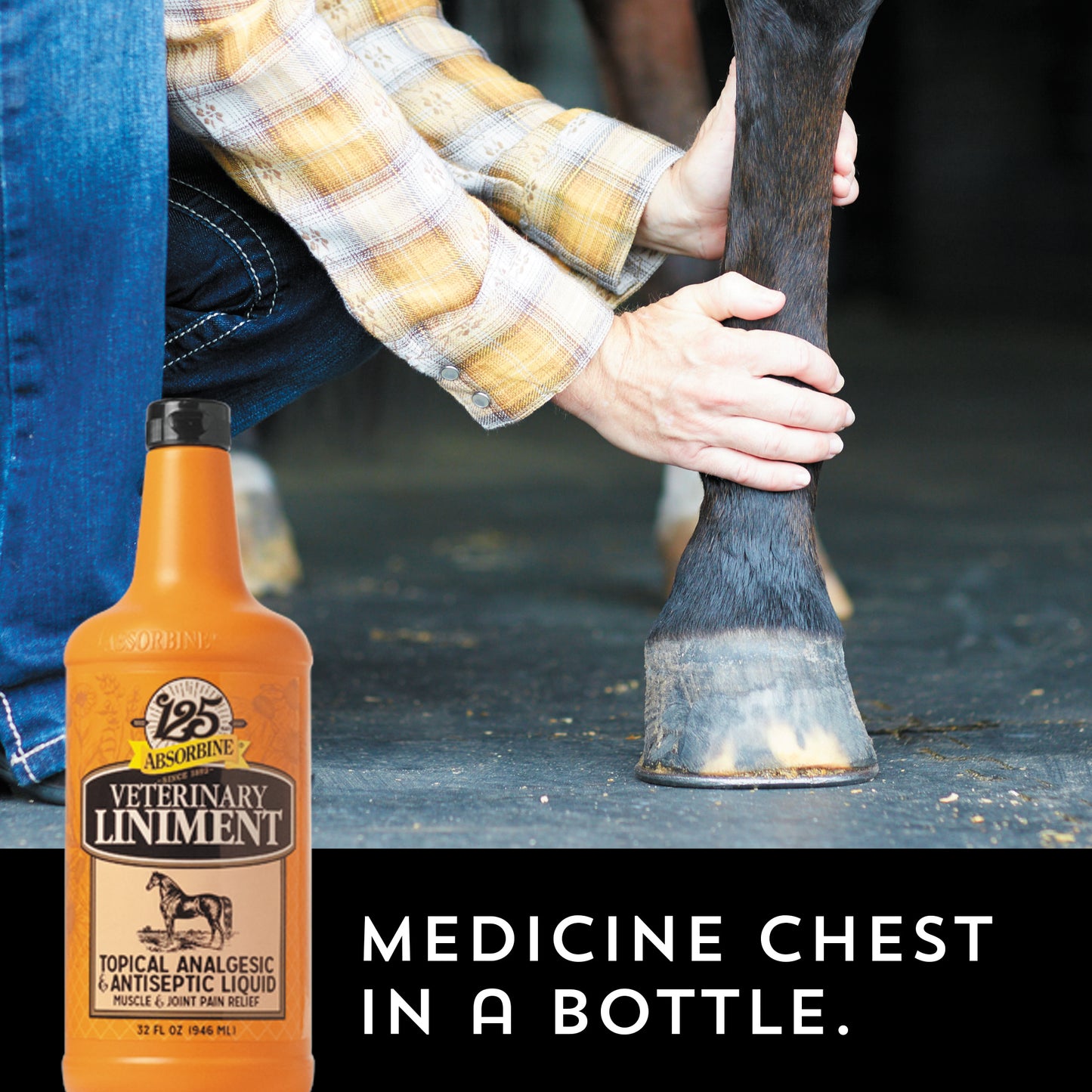 Absorbine Veterinary Liniment | Pain Relief & Skin Care for Horses & Dogs