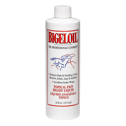 Absorbine Bigeloil Liniment | Sore Muscle & Joint Relief for Horses & Dogs | 16 oz