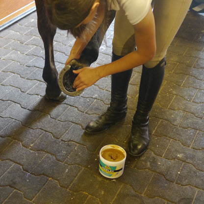 Absorbine Hooflex Therapeutic Conditioner Ointment | Hoof Care & Moisture | 25 oz