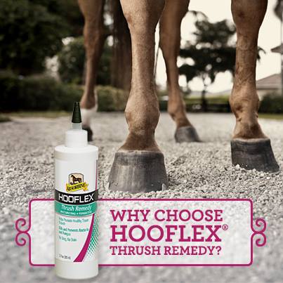 Absorbine Hooflex Thrush Remedy | Treats Thrush & White Line Disease | 12 oz