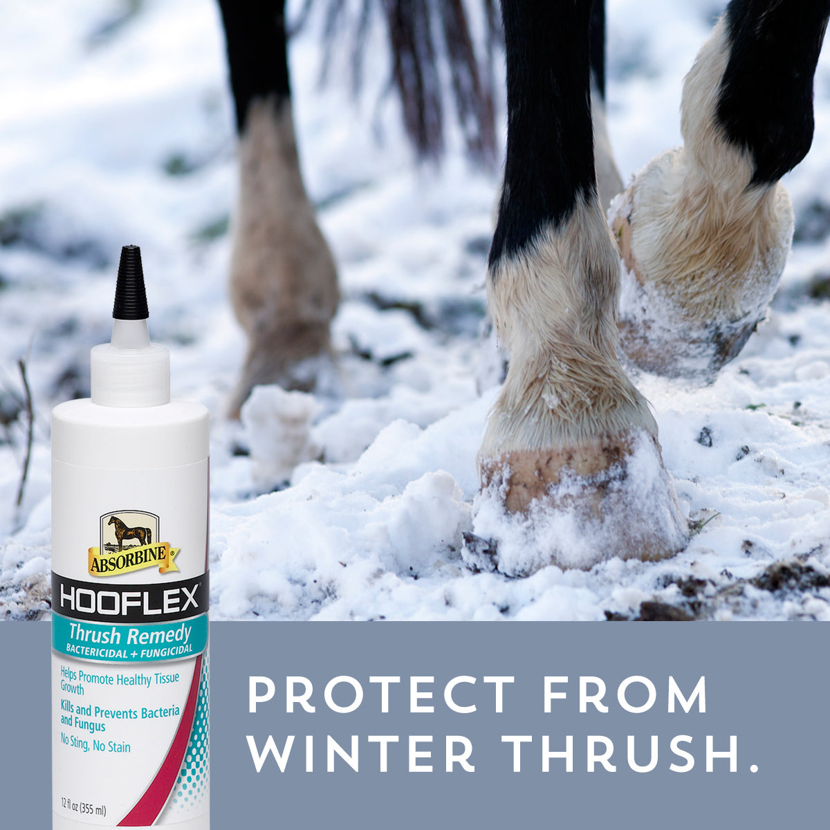 Absorbine Hooflex Thrush Remedy | Treats Thrush & White Line Disease | 12 oz
