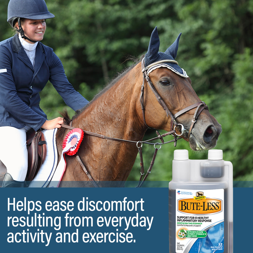 Absorbine Bute-Less Comfort & Recovery Liquid | Horse Inflammation Supplement | 32 oz