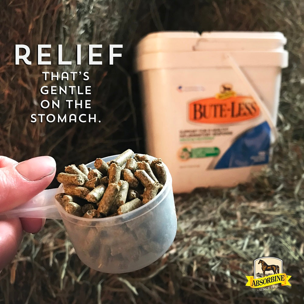 Absorbine Bute-Less Comfort & Recovery Pellets | Natural Horse Inflammation Supplement