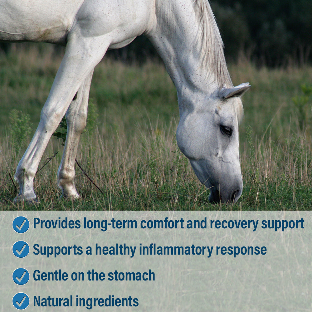 Absorbine Bute-Less Comfort & Recovery Pellets | Natural Horse Inflammation Supplement
