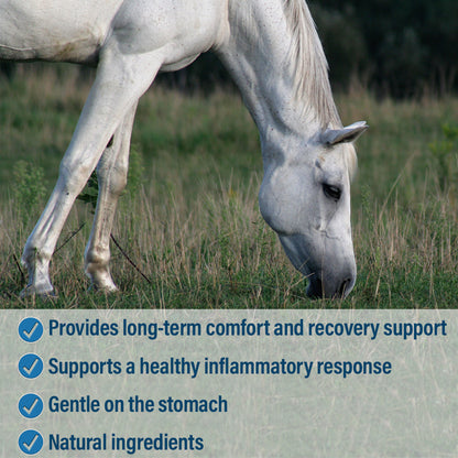 Absorbine Bute-Less Comfort & Recovery Pellets | Natural Horse Inflammation Supplement